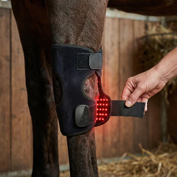 HorseHalo™ HaloHocks
