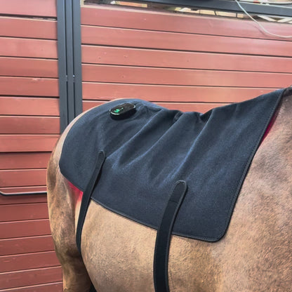 HorseHalo™ HaloBack